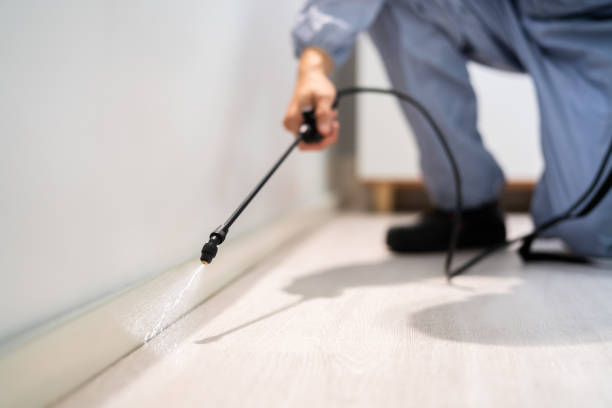 Licensed Rodent Control service in Bealeton, VA - Nex Pest Control