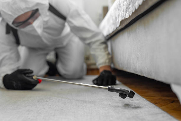 Professional Rodent Control technician working in Bealeton, VA