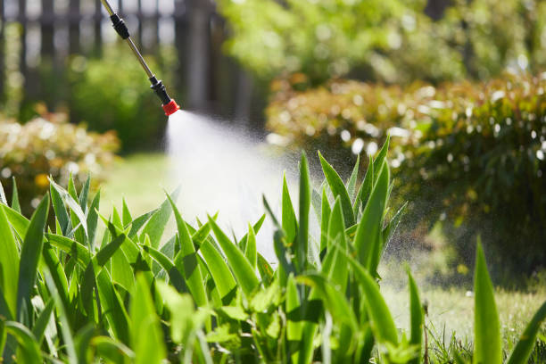 24/7 Emergency Rodent Control experts in Bealeton, VA