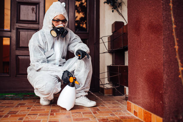 Reliable Rodent Control contractor in Bealeton, VA by Nex Pest Control