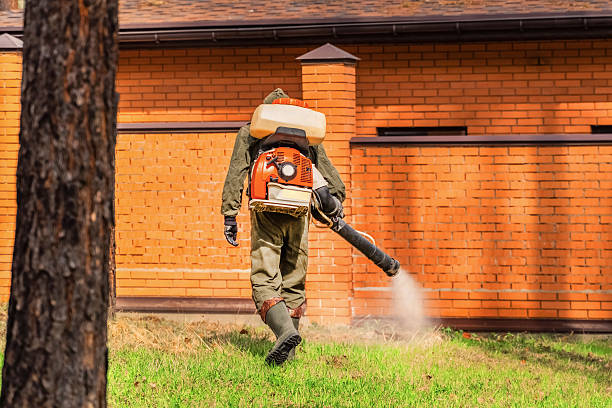 Trusted Mosquito Control service in Bealeton, VA - Nex Pest Control
